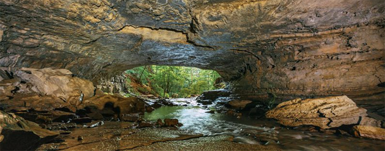 head of the crow state park