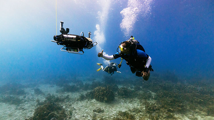 hidden coral reef