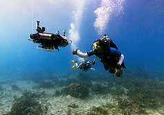 coral reef hotspots